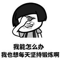 我包呢表情,捕捉日常欢笑的瞬间